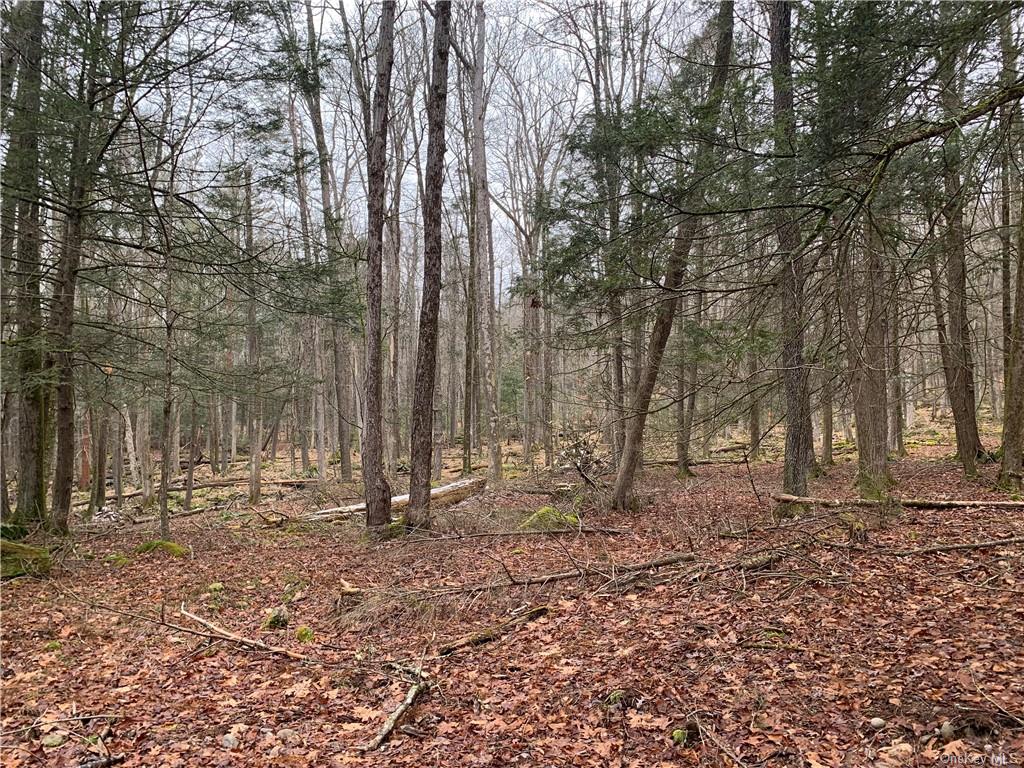 French Clearing Road, Forestburgh, New York image 1