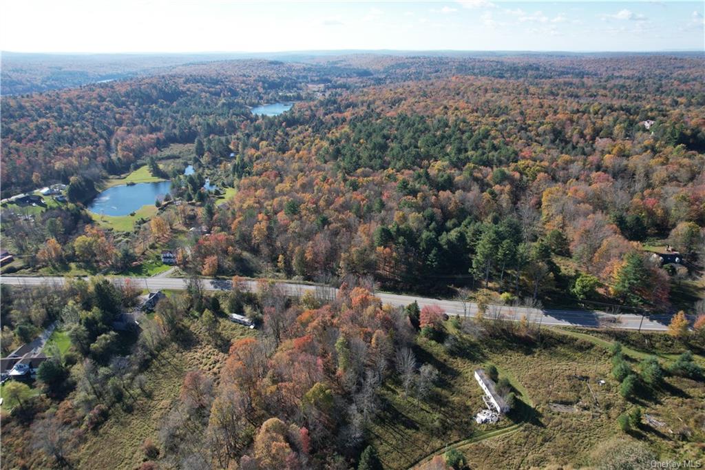 1195 Nys Route 17b, Mongaup Valley, New York image 3