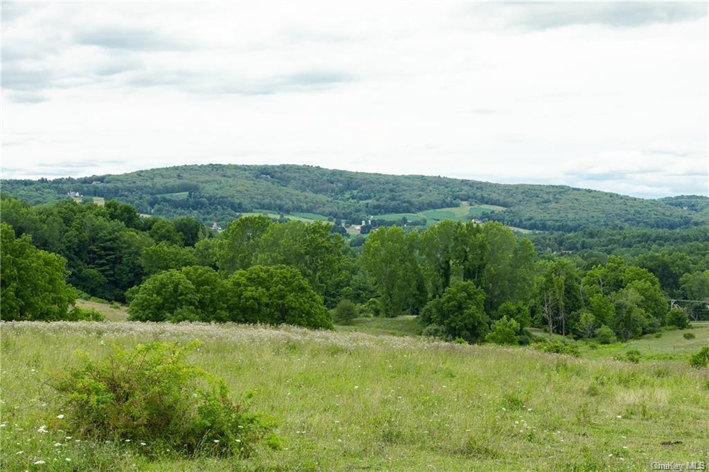 Yonderview Road, Hillsdale, New York image 4