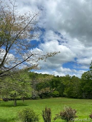 259 Lackawaxen Road, Narrowsburg, New York image 8