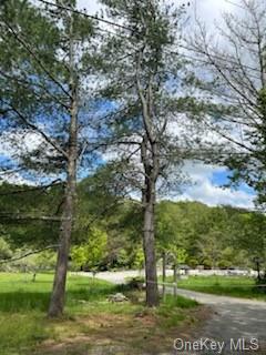 259 Lackawaxen Road, Narrowsburg, New York image 9