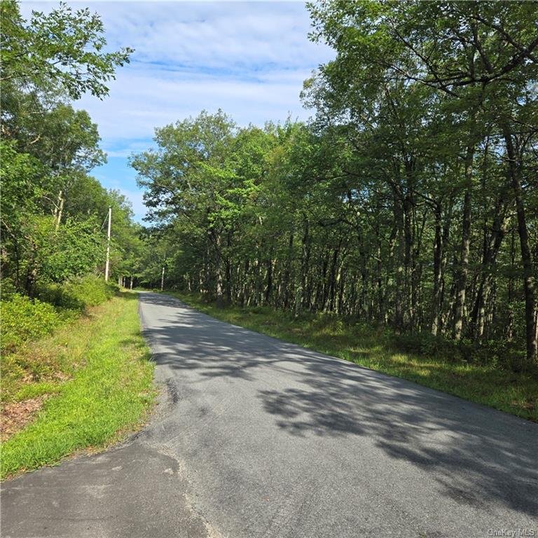 Budd Road, Wurtsboro, New York image 14