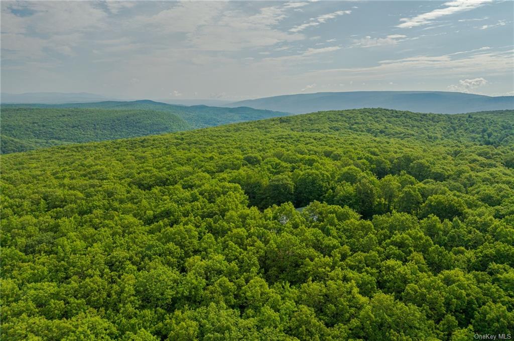 Budd Road, Wurtsboro, New York image 9