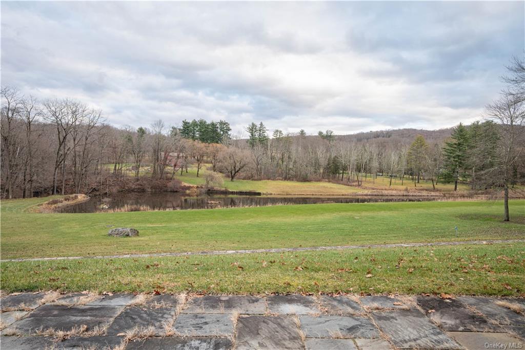 165 Duell Hollow Road, Wingdale, New York image 30