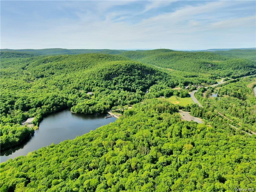 Lookout Mountain Road, Tuxedo Park, New York image 8