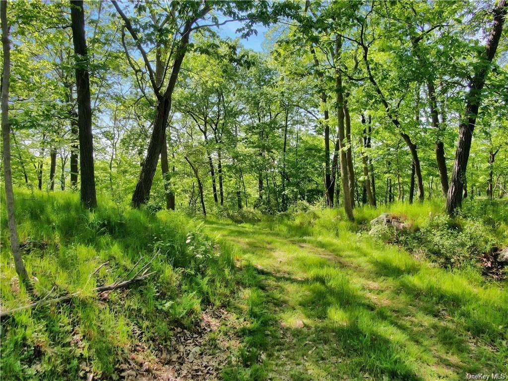 Lookout Mountain Road, Tuxedo Park, New York image 3