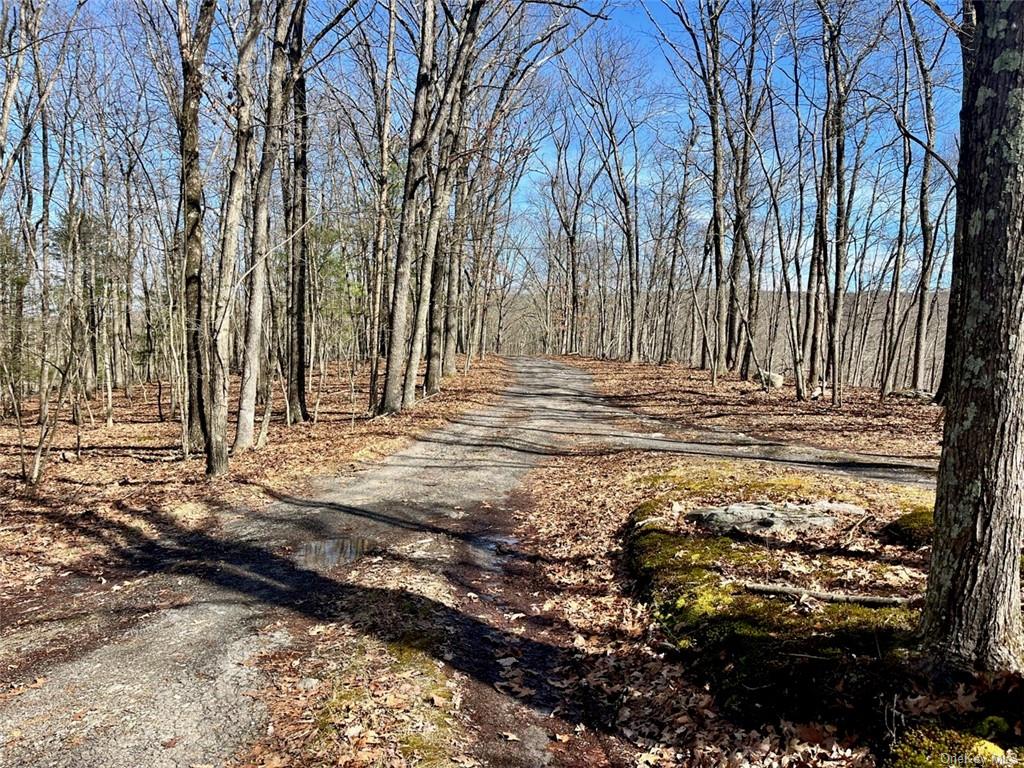 Greenville Turnpike, Port Jervis, New York image 2