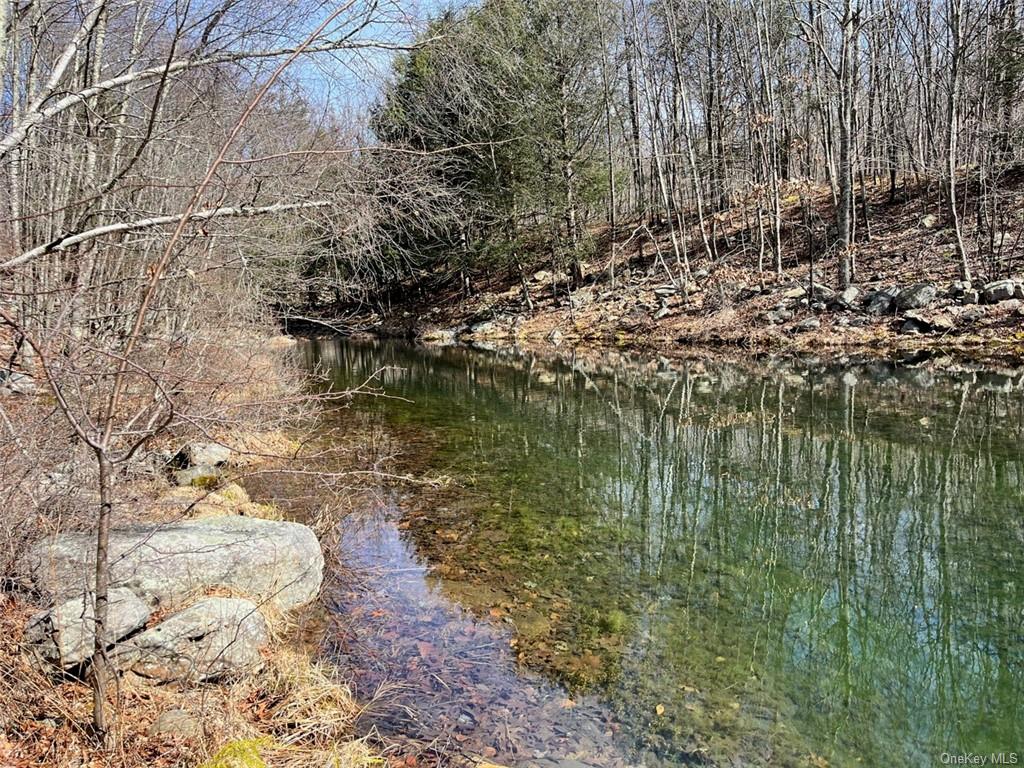 Greenville Turnpike, Port Jervis, New York image 11