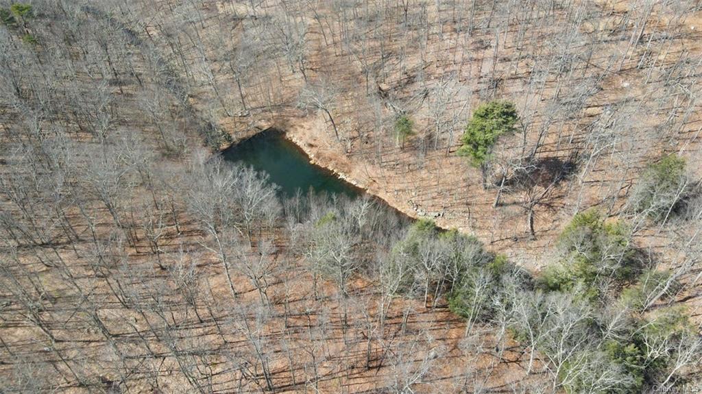 Greenville Turnpike, Port Jervis, New York image 13