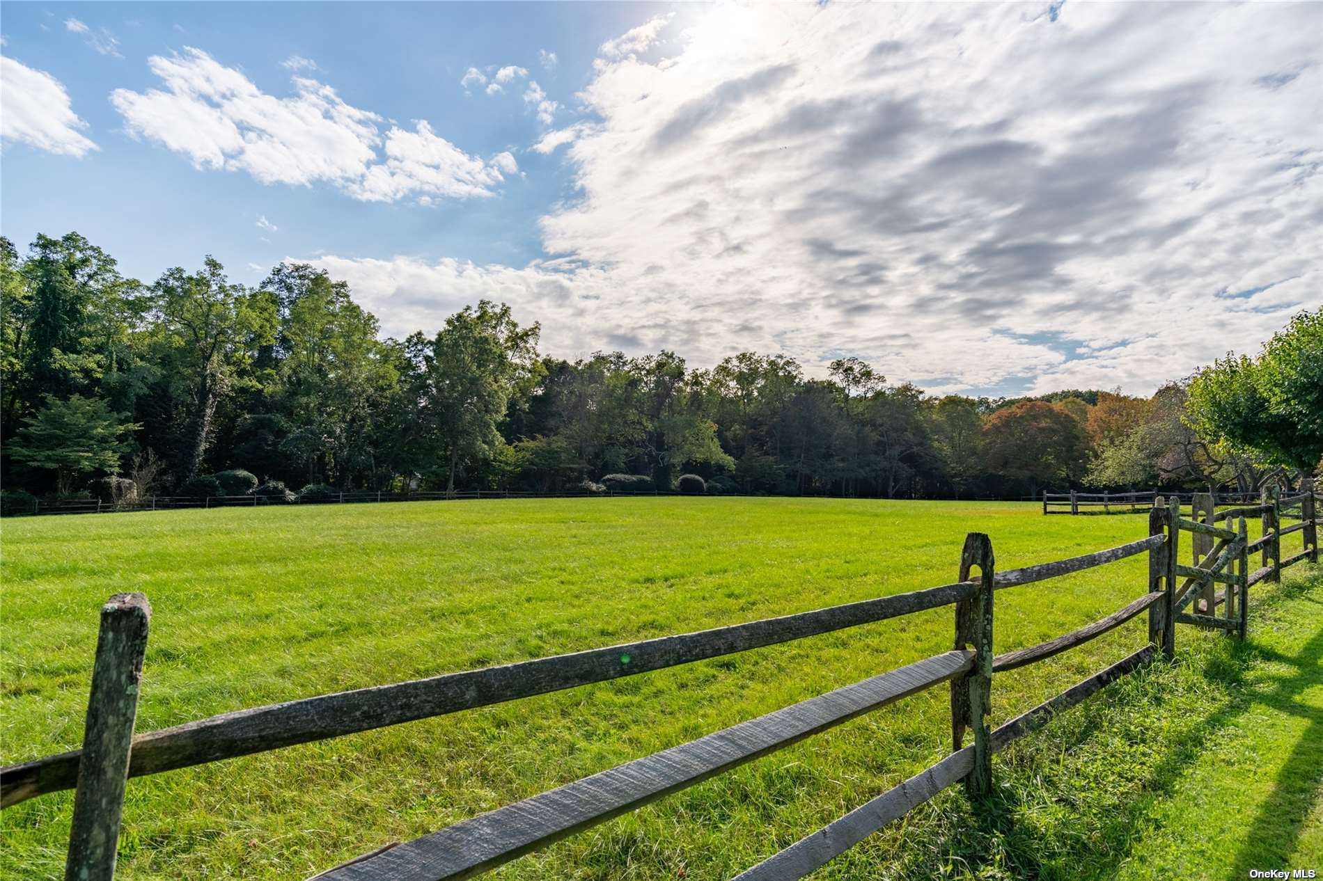 Meadow Farm @ Lands End, Locust Valley, New York image 13