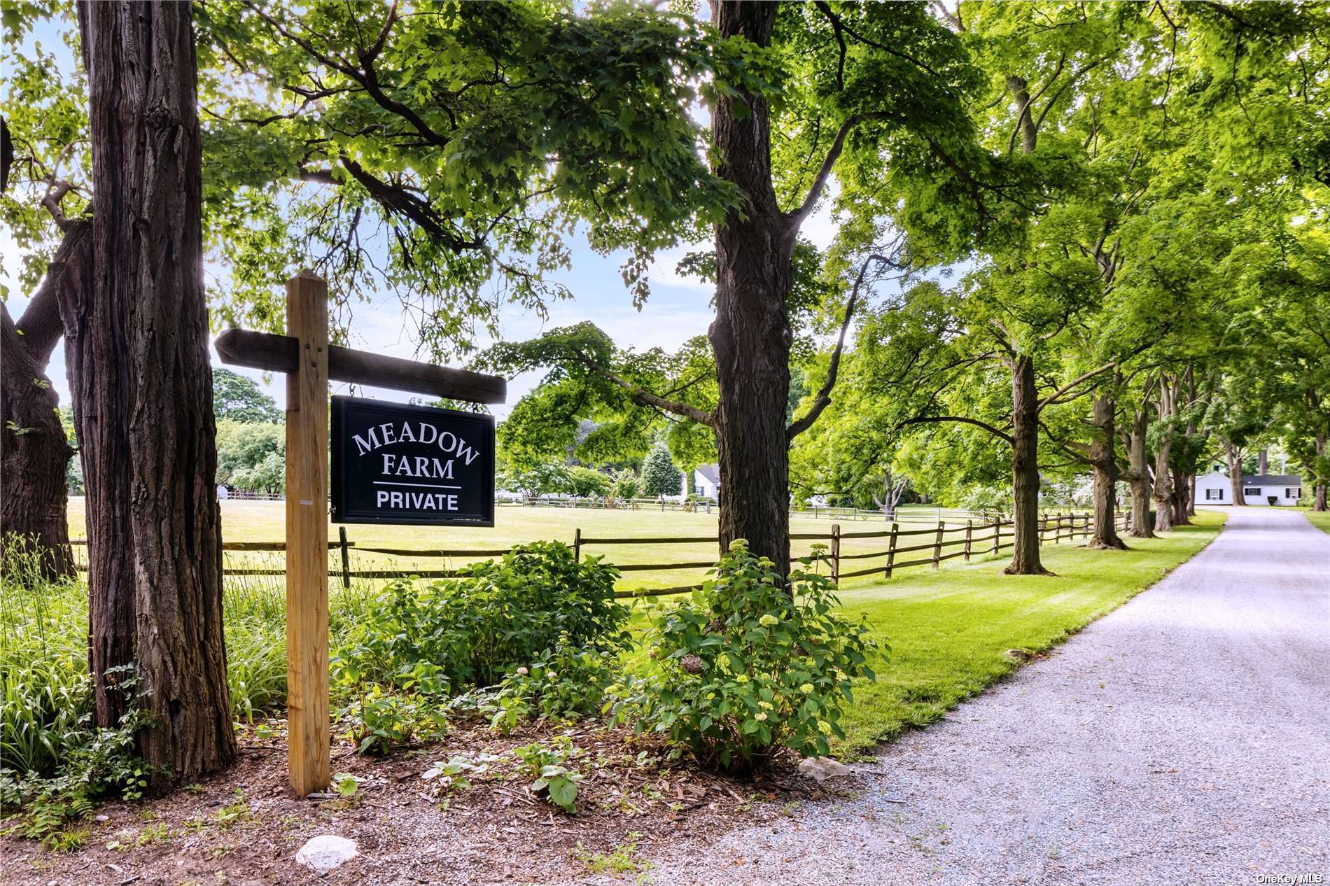 Meadow Farm @ Lands End, Locust Valley, New York image 16