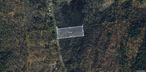 Unimproved Land in Other NY 378 Johnson Road.jpg