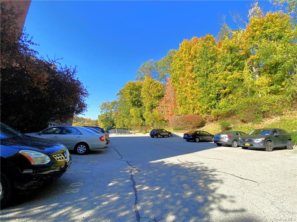 45 E Hartsdale Avenue #5C, Hartsdale, New York image 20