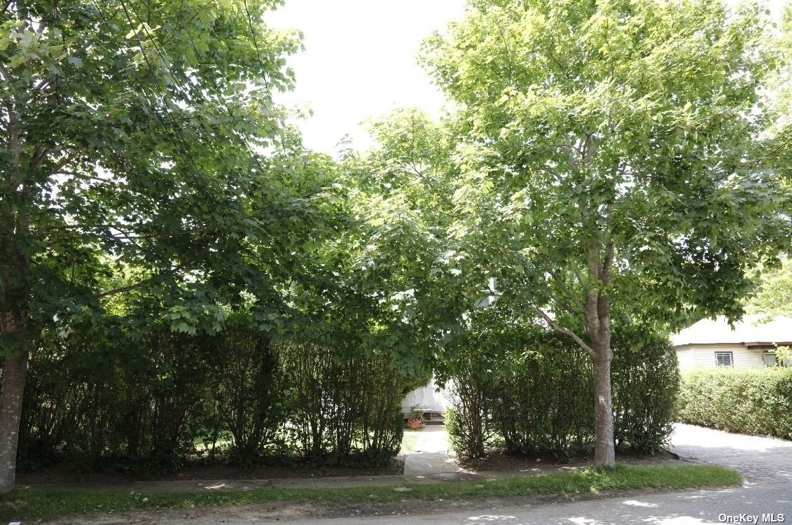 39 Halsey Avenue