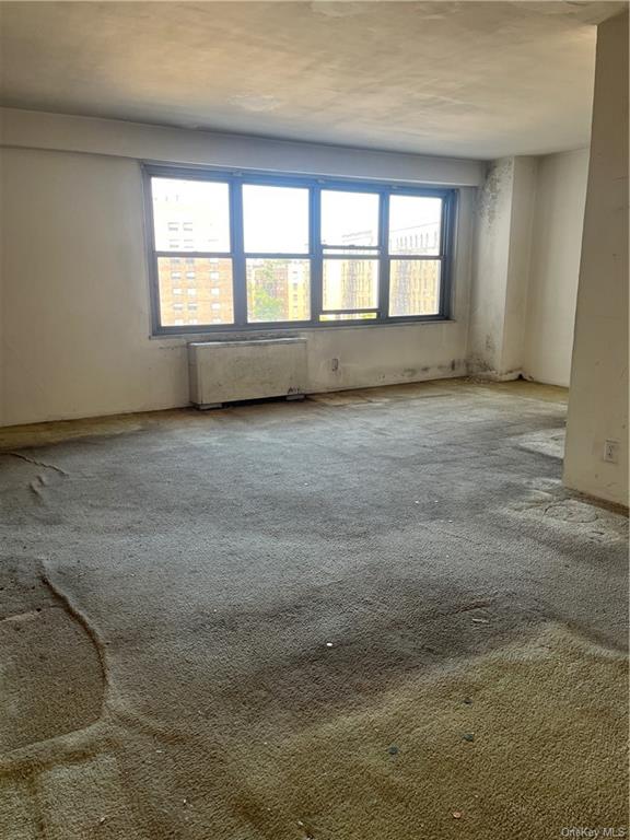 1020 Grand Concourse #8H, Bronx, New York image 11