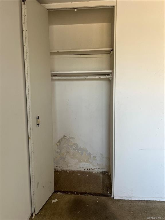 1020 Grand Concourse #8H, Bronx, New York image 13