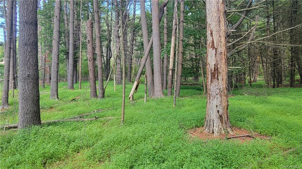 High Road, Glen Spey, New York image 4