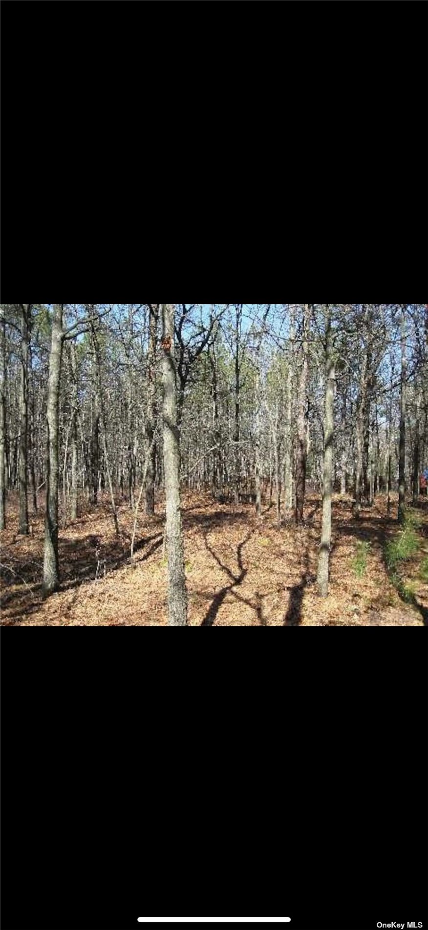 W Yaphank Road, Coram, New York image 1