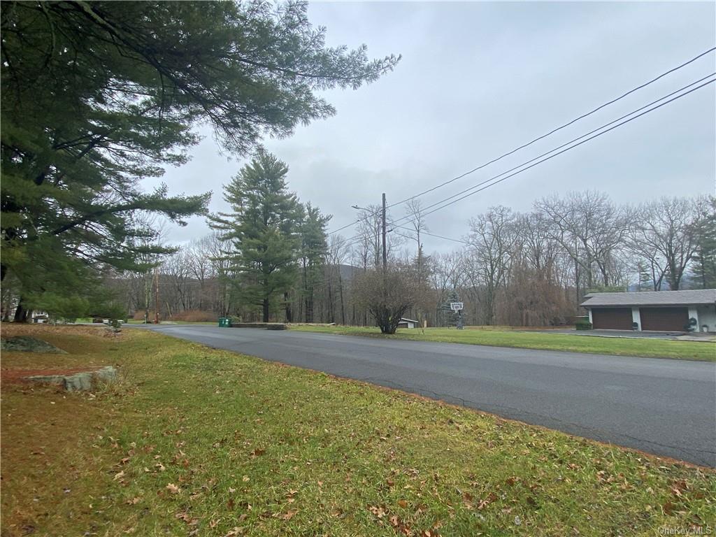 Diane Drive, Ellenville, New York image 34