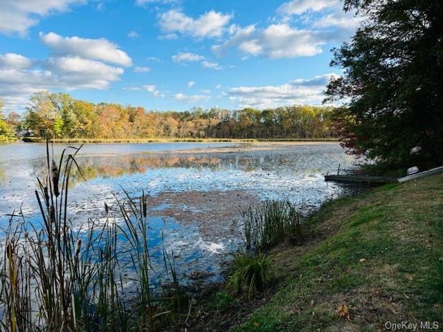 37 Lake Shore Drive, Ancramdale, New York image 7