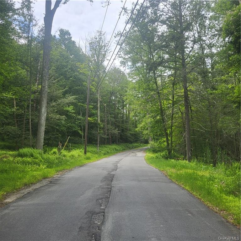 Aldrich Road, Wurtsboro, New York image 12