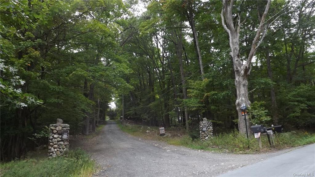 Roosa Gap Road, Wurtsboro, New York image 19