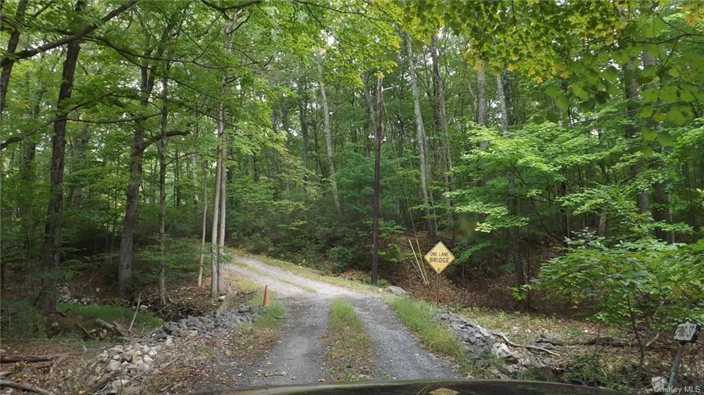 Roosa Gap Road, Wurtsboro, New York image 12