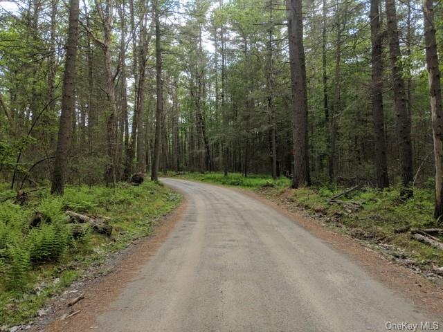 Loch Ada Road, Glen Spey, New York image 3