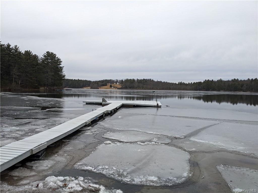 Loch Ada Road, Glen Spey, New York image 4