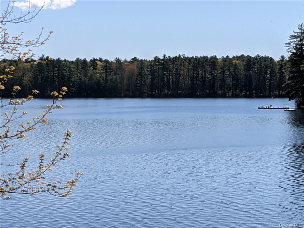 Loch Ada Road, Glen Spey, New York image 2