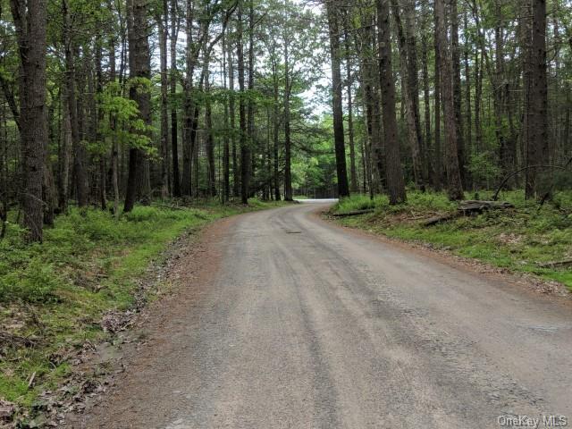 Loch Ada Road, Glen Spey, New York image 5