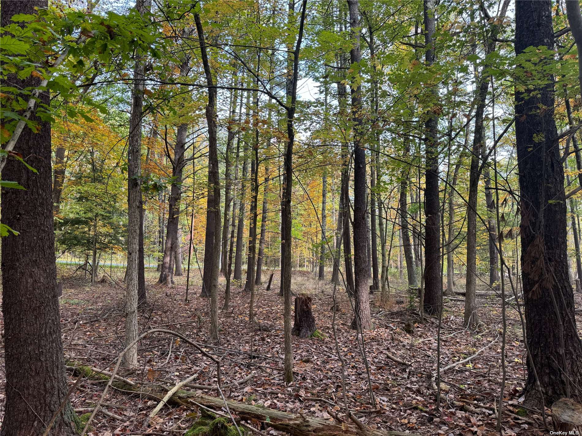 Frank Hitchcock Road, Cairo, New York image 1