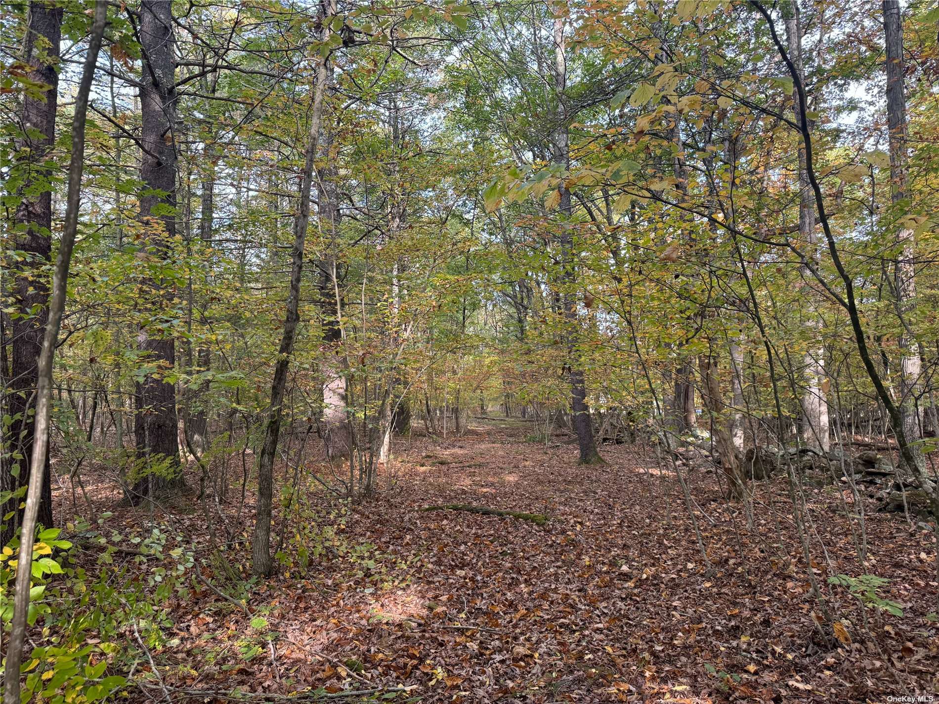 Frank Hitchcock Road, Cairo, New York image 3