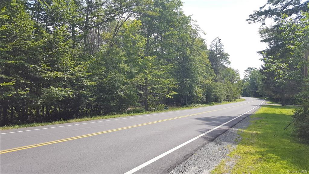 State Route 42, Grahamsville, New York image 1