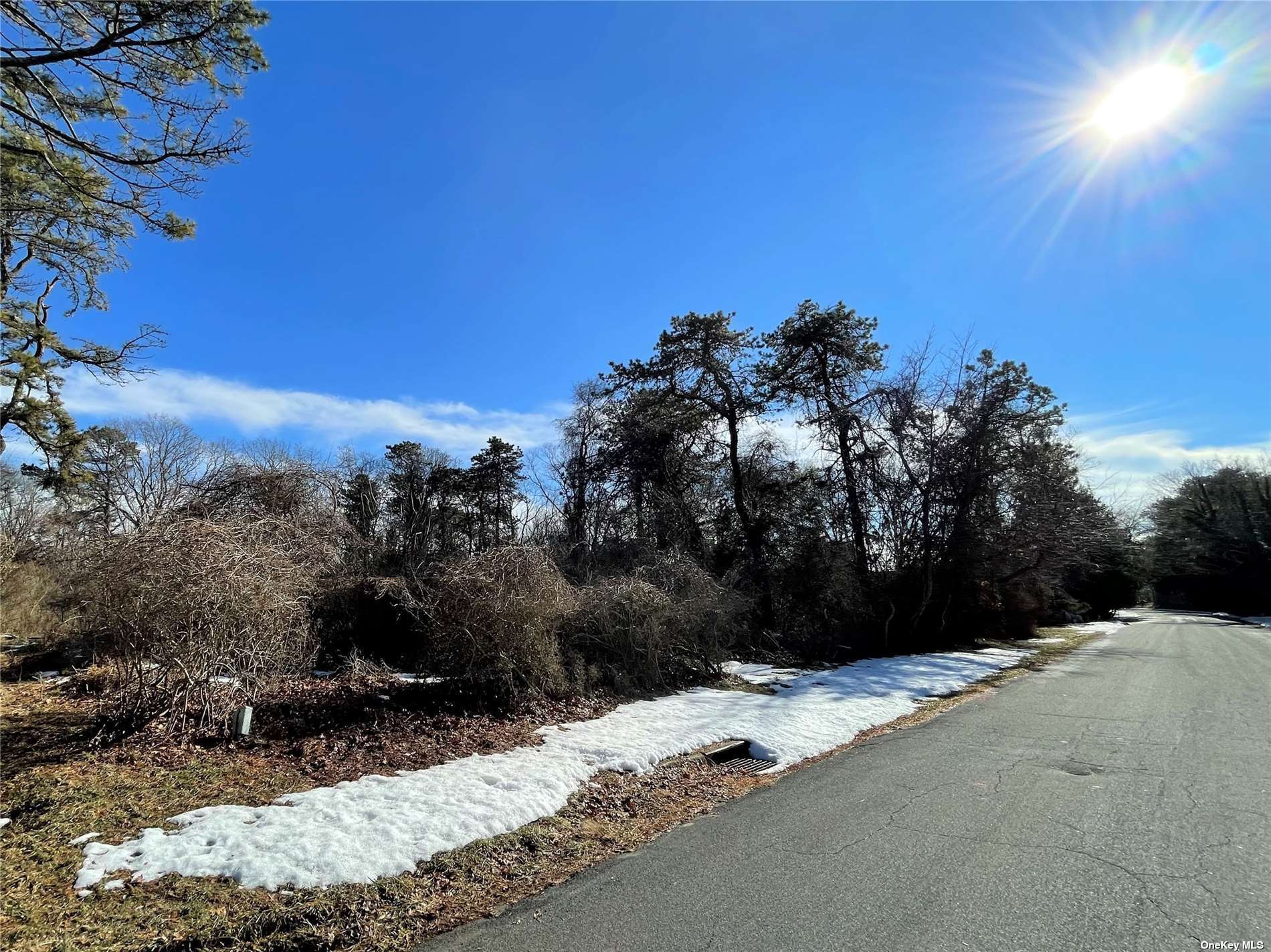 Photo 6 of 7 of 65 East Hollow Road land