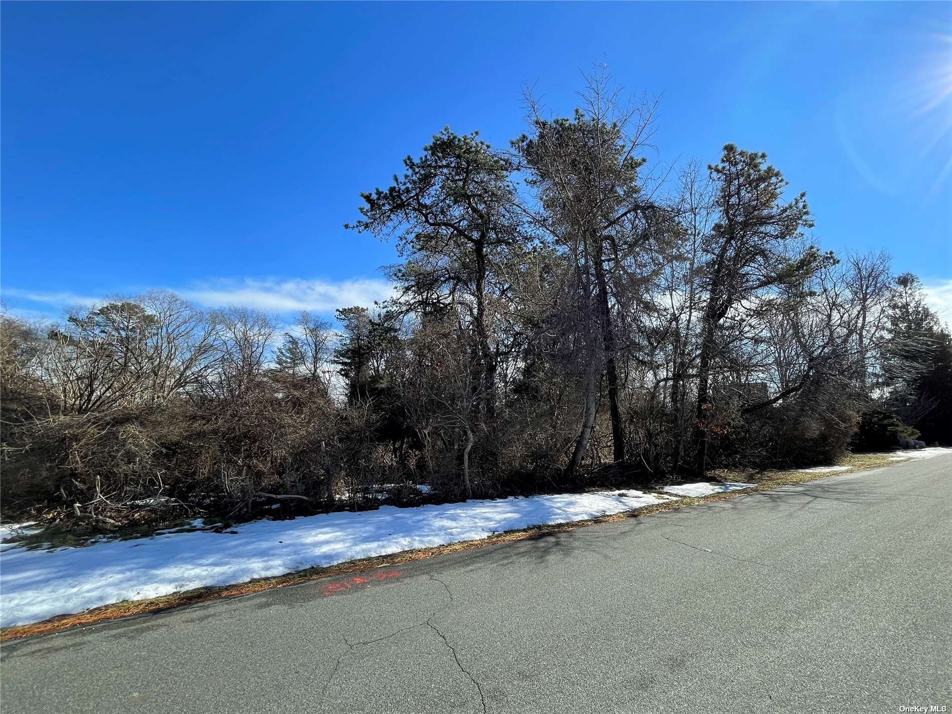 Photo 5 of 7 of 65 East Hollow Road land