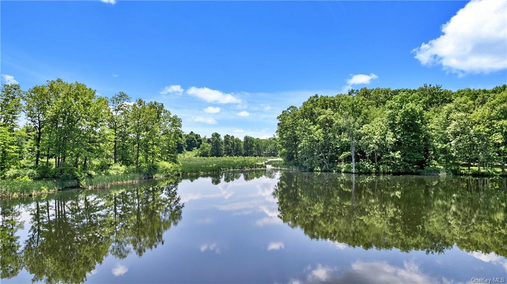 1175 County Route 27a, Call Listing Agent, New York image 5