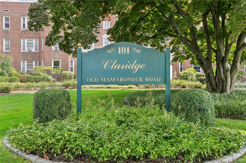 101 Old Mamaroneck Rd #1C6, White Plains, New York image 1