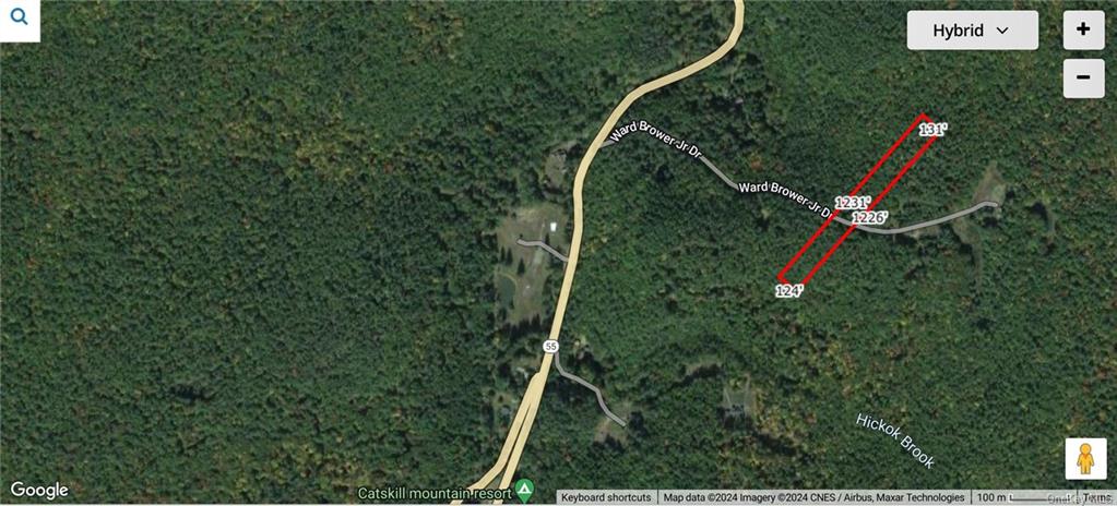 Lot 15-8 Ward Brower Jr Drive, Barryville, New York image 16