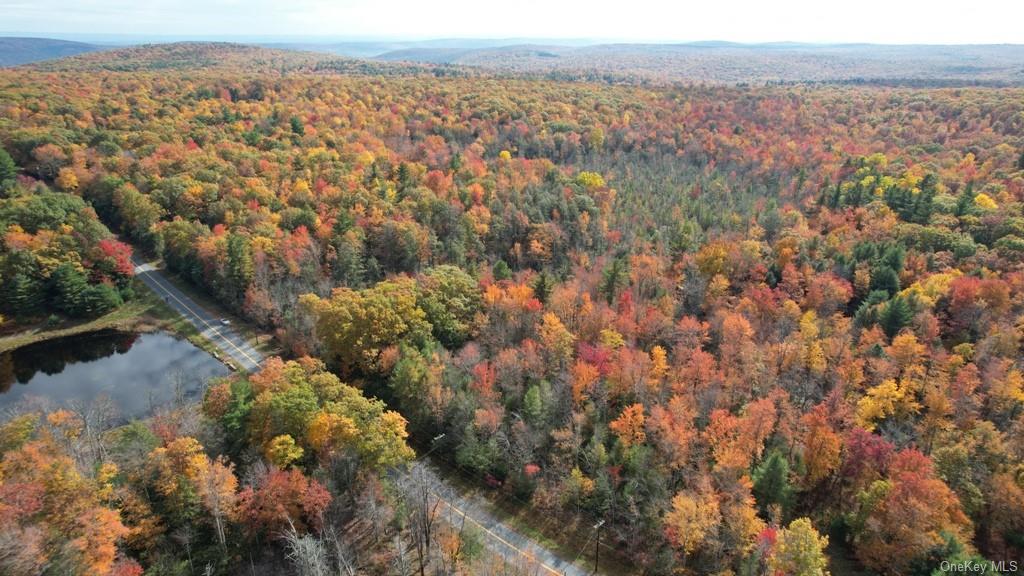 Mount Vernon Road, Wurtsboro, New York image 6