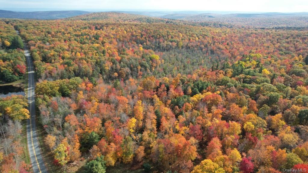 Mount Vernon Road, Wurtsboro, New York image 9