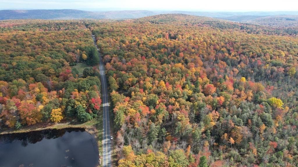 Mount Vernon Road, Wurtsboro, New York image 7