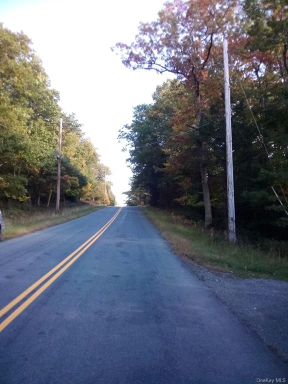 Mount Vernon Road, Wurtsboro, New York image 23