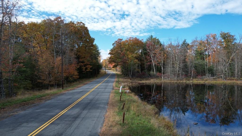 Mount Vernon Road, Wurtsboro, New York image 2