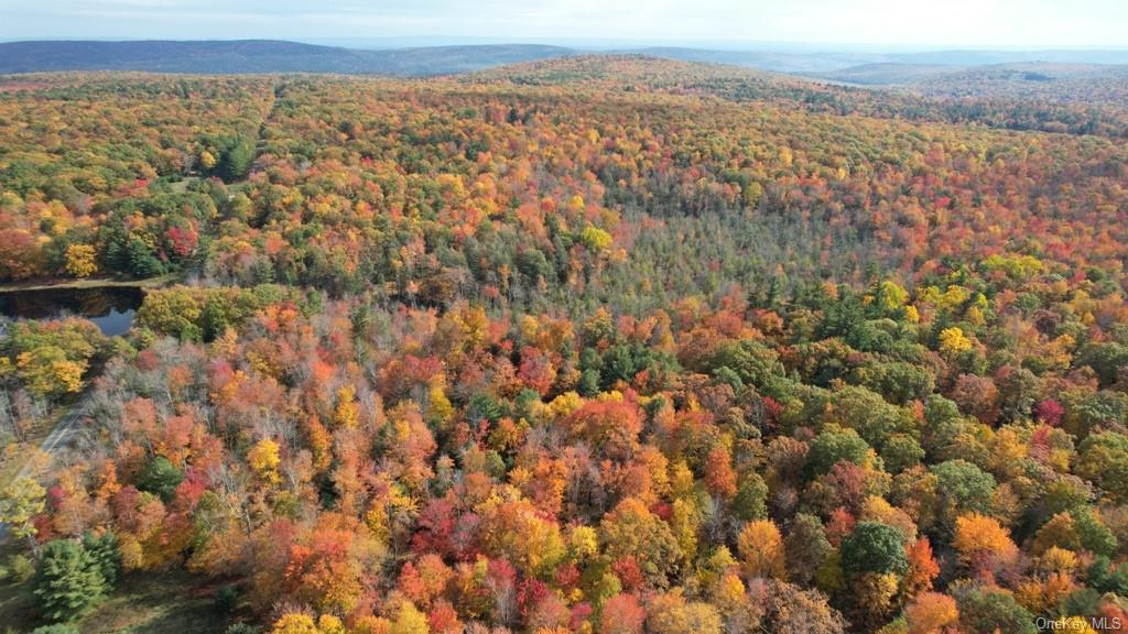 Mount Vernon Road, Wurtsboro, New York image 8