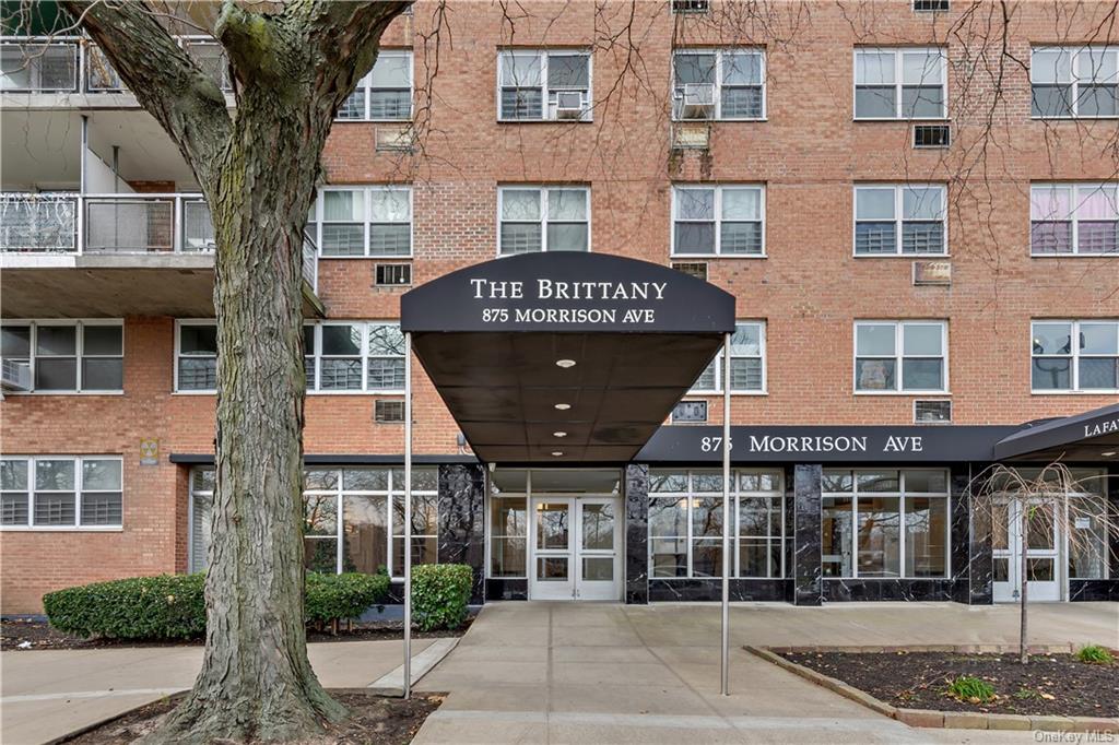 875 Morrison Avenue #3M, BRONX, New York image 17