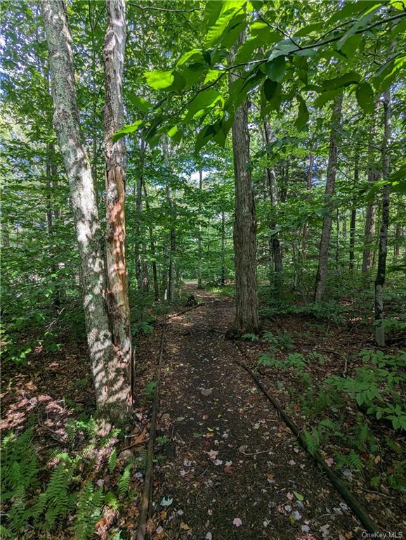 344 White Roe Lake Road, Livingston Manor, New York image 9