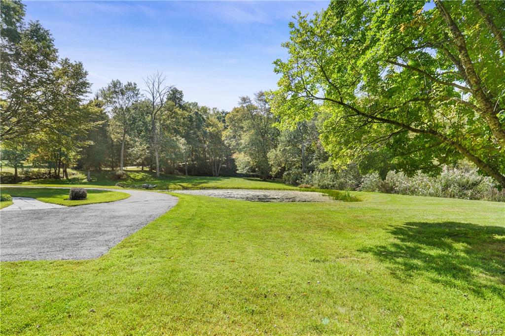 100 Birch Drive, Katonah, New York image 19