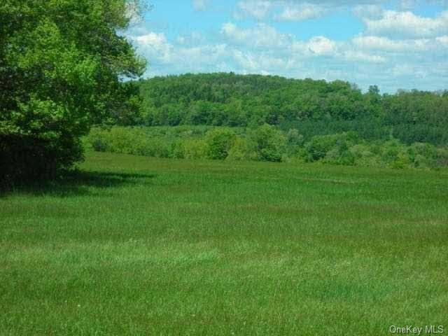 Skunks Misery Road, Millerton, New York image 5