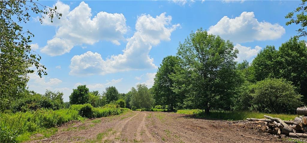 Lot 81.4 County Road 114, Cochecton, New York image 1